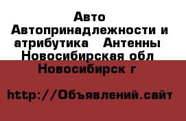 Авто Автопринадлежности и атрибутика - Антенны. Новосибирская обл.,Новосибирск г.